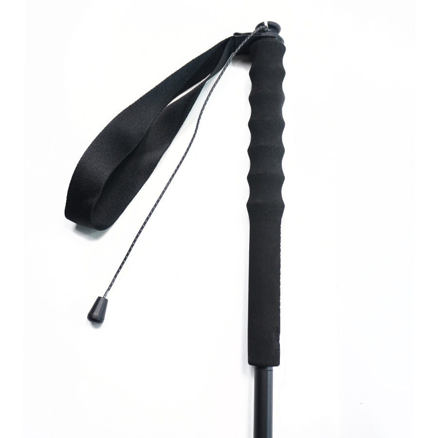 Ultralight Carbon Trekking Poles - Alpine Black