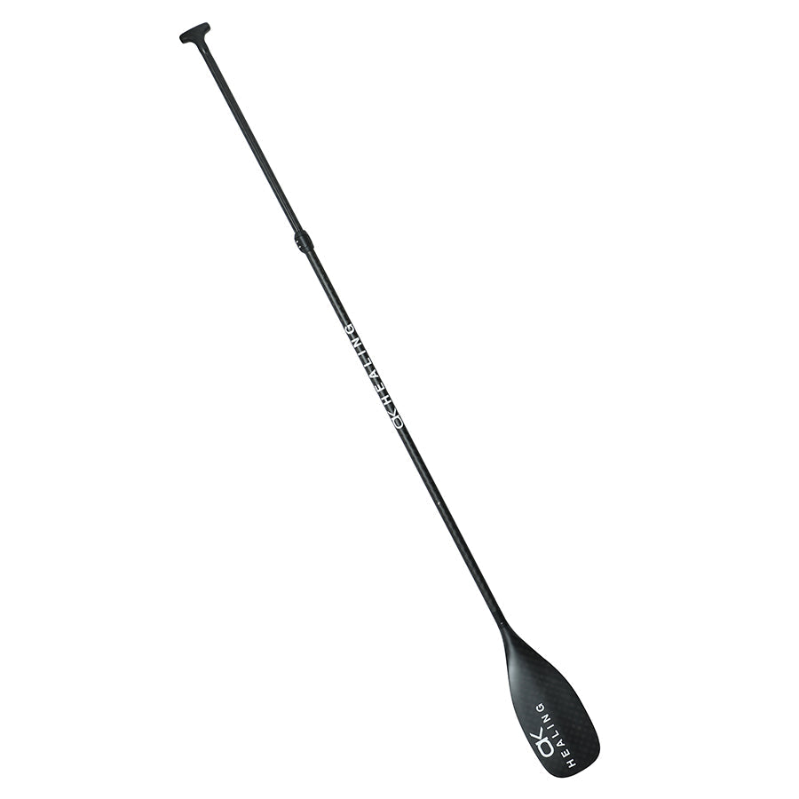 Carbon Fiber 3-Piece SUP Paddle - Adjustable and Detachable