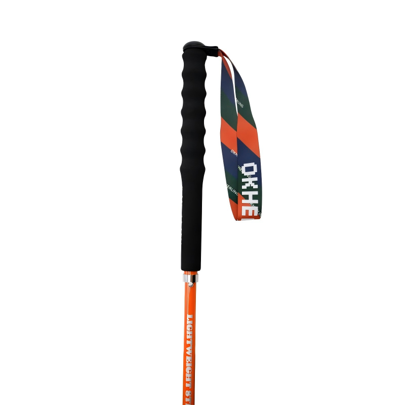 Ultralight Carbon Hiking Poles – TrailBlazer