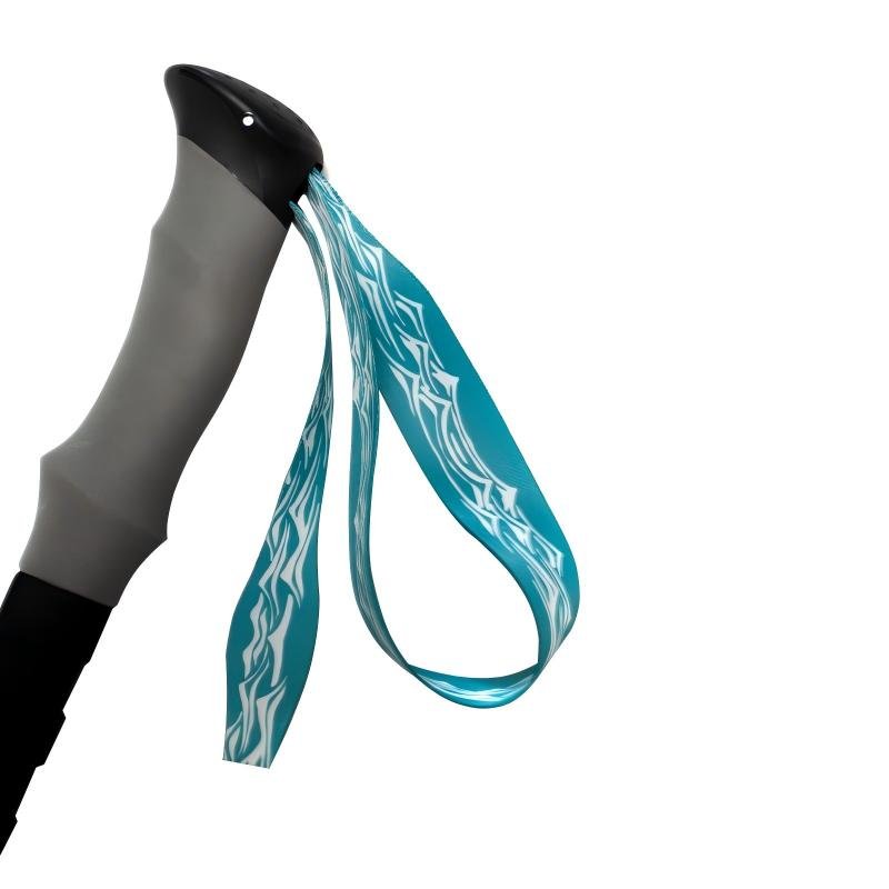 Alpine Traverse Carbon Telescopic Hiking & Ski Poles- Glacier blue - okhealingwild