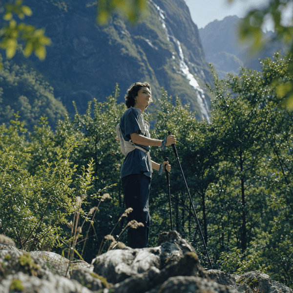 Foldable Ultralight Carbon Trekking Poles - Carbon Weave - okhealingwild