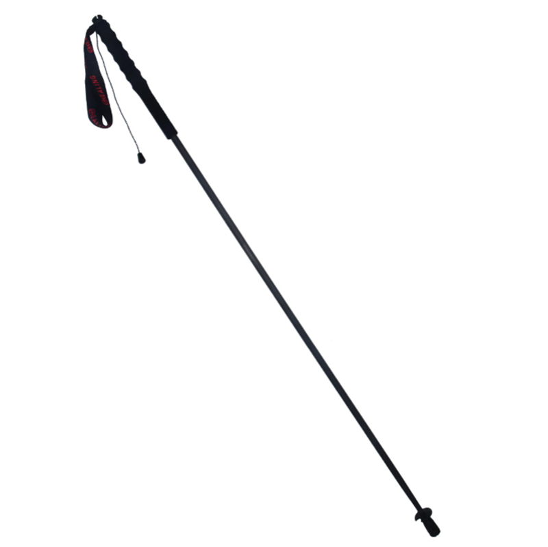 Ultralight Carbon Trekking Poles - Alpine Black