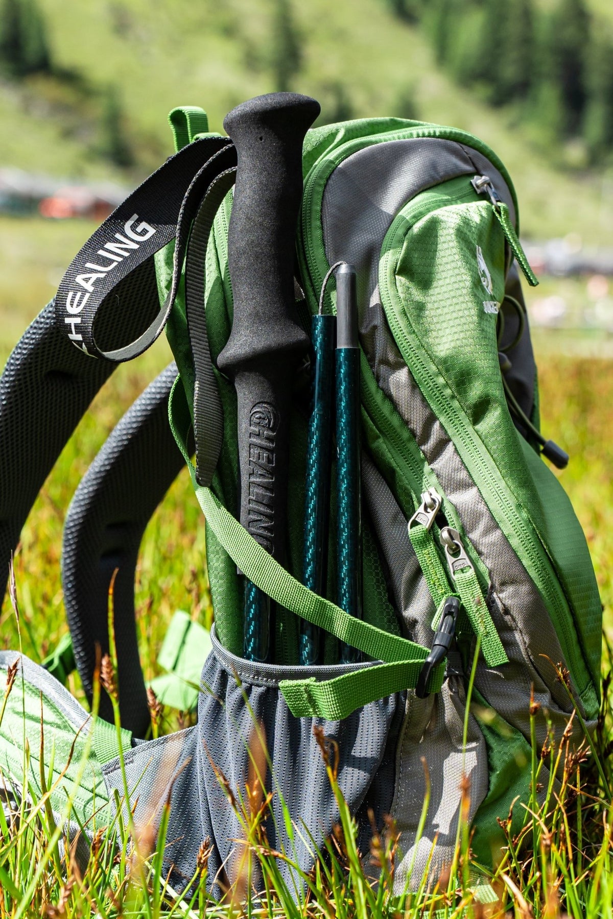 Shock-Absorbing Carbon Trekking Poles – JBlue - okhealingwild