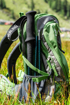 Shock-Absorbing Carbon Trekking Poles – JBlue - okhealingwild