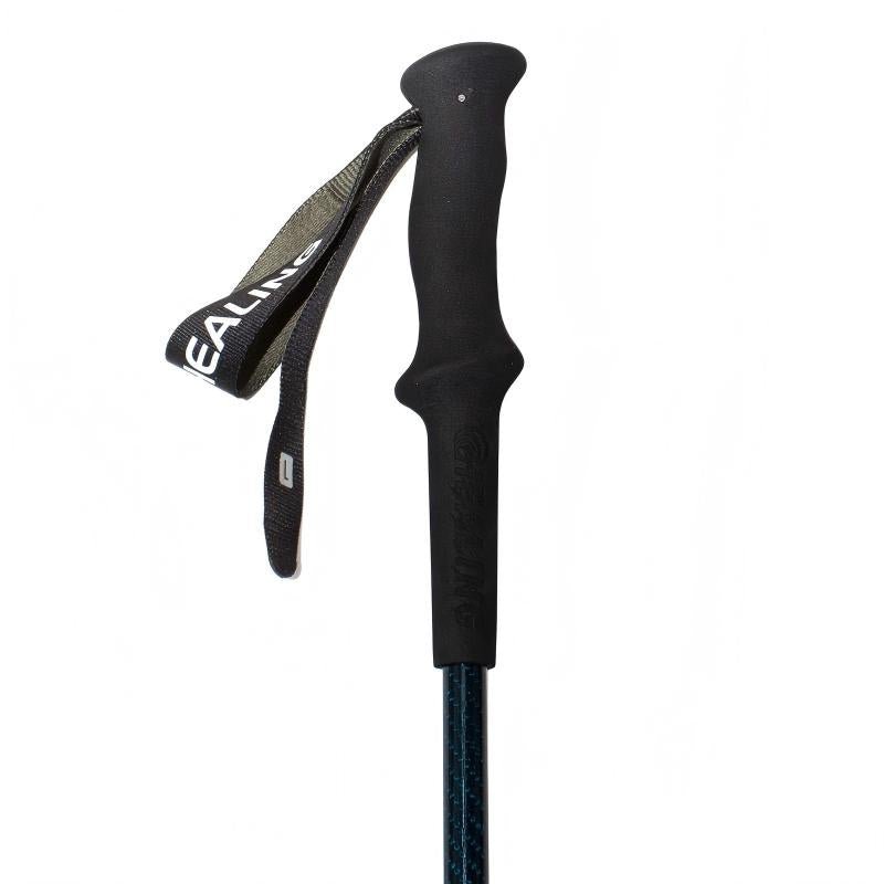 Shock-Absorbing Carbon Trekking Poles – JBlue - okhealingwild