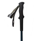 Shock-Absorbing Carbon Trekking Poles – JBlue - okhealingwild