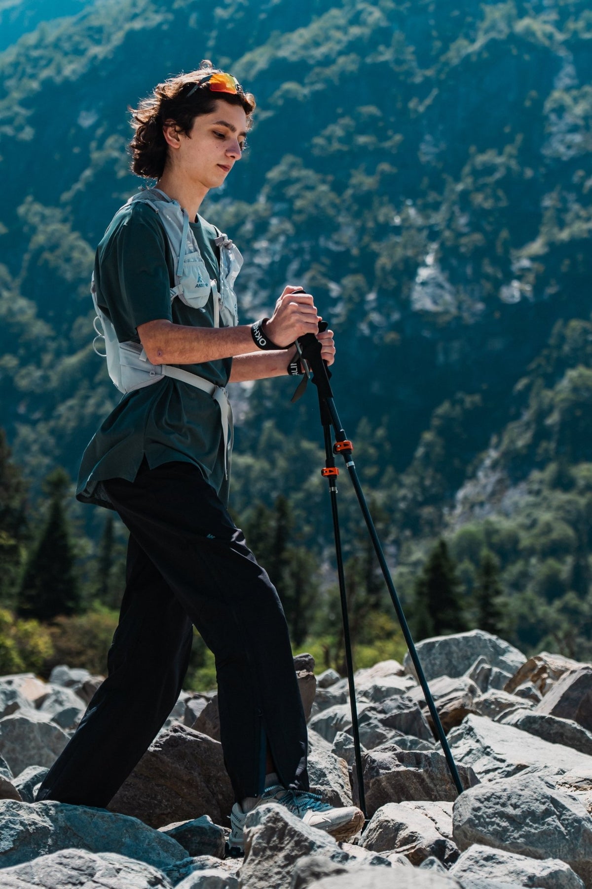 Shock-Absorbing Carbon Trekking Poles – JGreen - okhealingwild