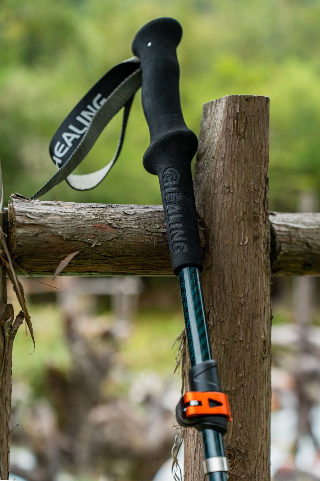 Shock-Absorbing Carbon Trekking Poles – JGreen - okhealingwild