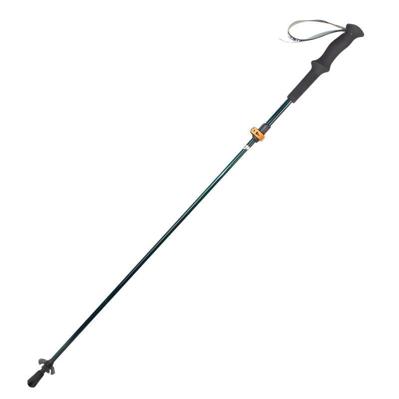 Shock-Absorbing Carbon Trekking Poles – JGreen - okhealingwild