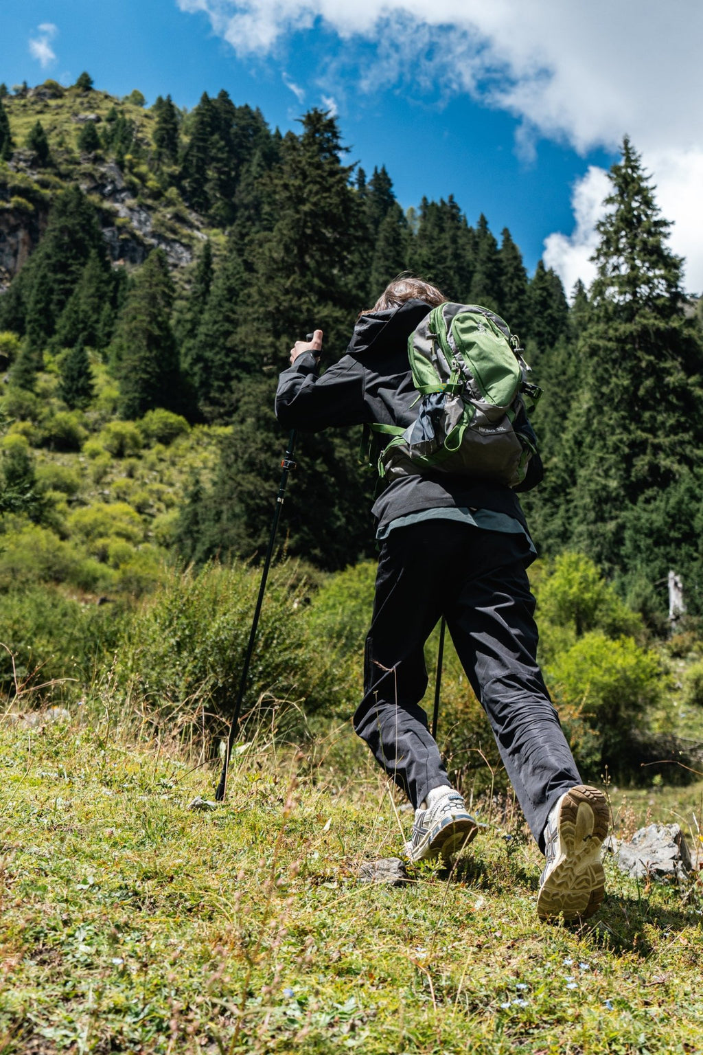 Shock-Absorbing Carbon Trekking Poles – JGreen - okhealingwild