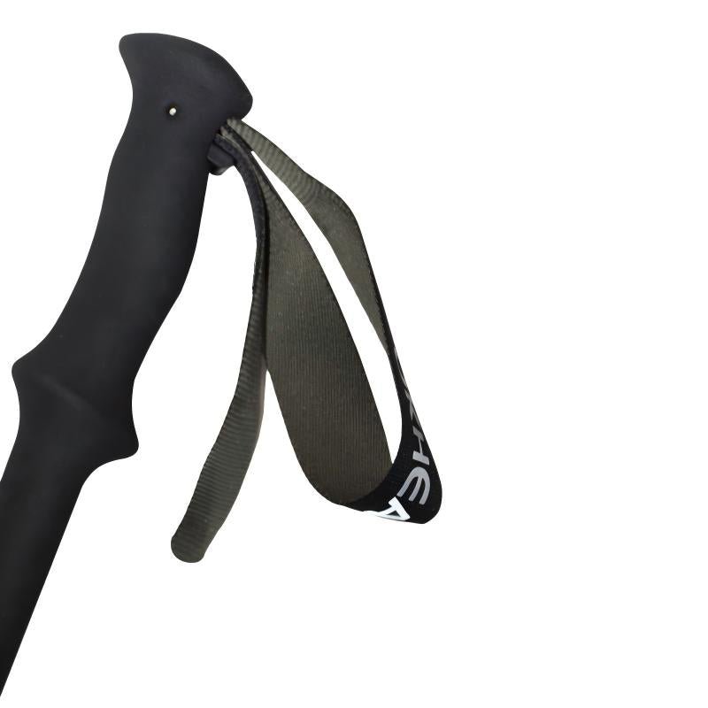 Shock-Absorbing Carbon Trekking Poles – JPurple - okhealingwild