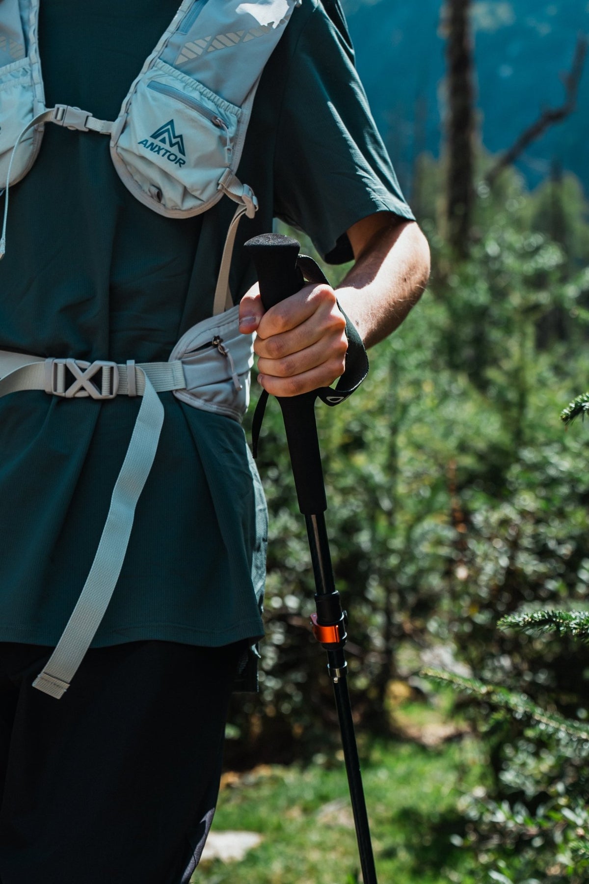 Shock-Absorbing Carbon Trekking Poles – JR - okhealingwild