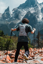 Shock-Absorbing Carbon Trekking Poles – JR - okhealingwild