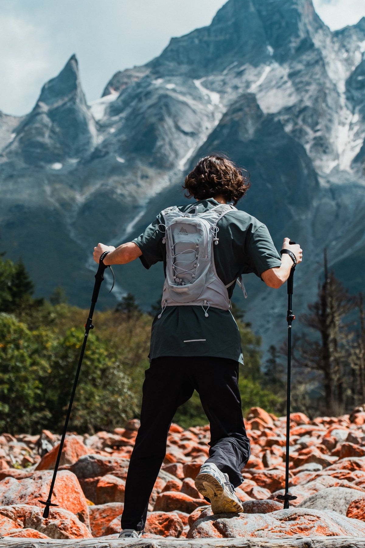 Shock-Absorbing Carbon Trekking Poles – JR - okhealingwild