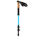 Telescopic Carbon Trekking Poles – Custom Height & Stability - okhealingwild