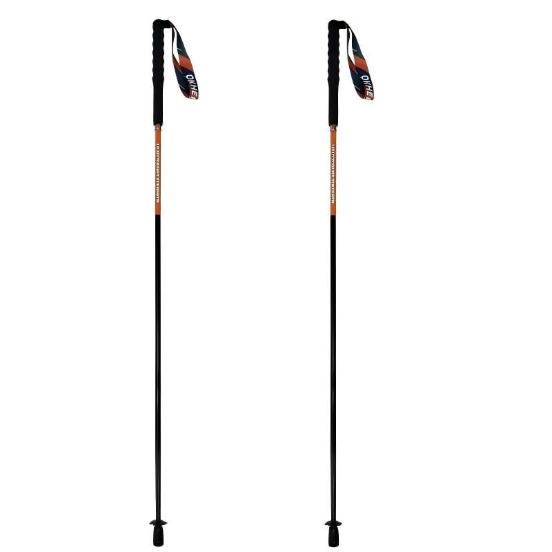 Ultralight Carbon Hiking Poles – TrailBlazer - okhealingwild