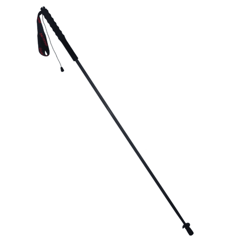 Ultralight Carbon Trekking Poles - Alpine Black - okhealingwild