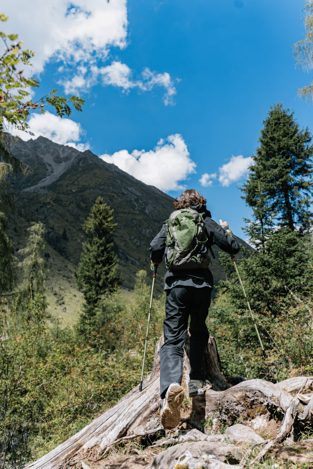 Ultralight Compact Carbon Folding Trekking Poles – MGreen - okhealingwild