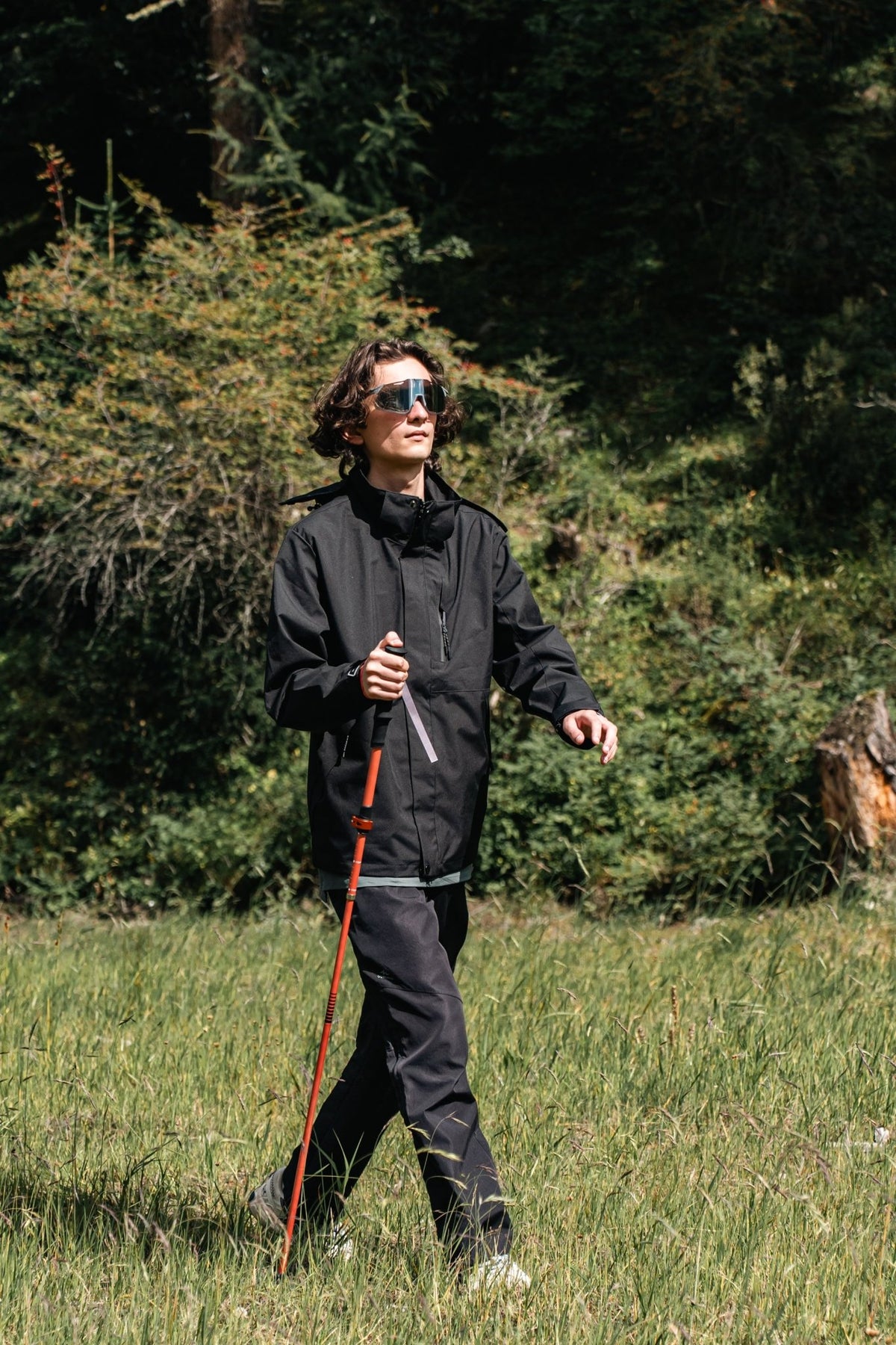 Ultralight Compact Carbon Folding Trekking Poles – MPink - okhealingwild