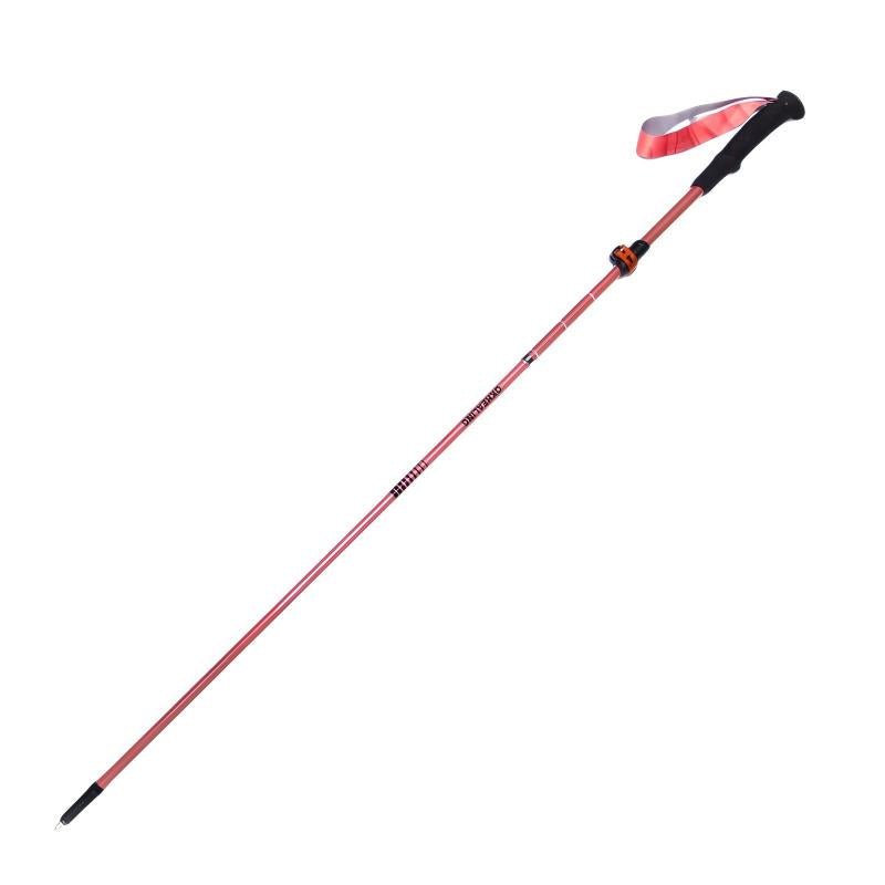 Ultralight Compact Carbon Folding Trekking Poles – MPink - okhealingwild